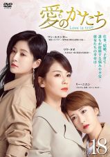 愛のかたち～Ｌｏｖｅ　ｉｓ　ｔｒｕｅ～Ｖｏｌ．１８