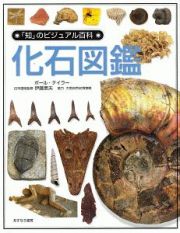 「知」のビジュアル百科　化石図鑑