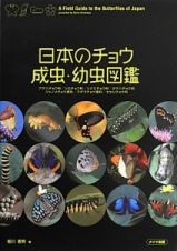日本のチョウ成虫・幼虫図鑑