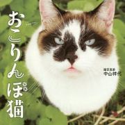 おこりんぼ猫