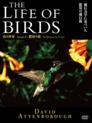 ＴＨＥ　ＬＩＦＥ　ＯＦ　ＢＩＲＤＳ　鳥の世界　驚異の翼