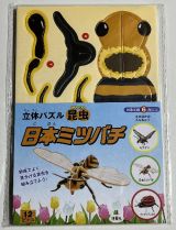 立体パズル　昆虫　日本ミツバチ　どなたでも手軽に組み立てられる立体パズル