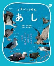 鳥のふしぎ　あし