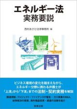 エネルギー法実務要説