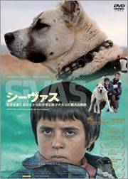 シーヴァス　王子さまになりたかった少年と負け犬だった闘犬の物語