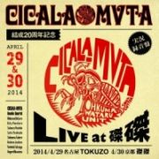 ＣＩＣＡＬＡ－ＭＶＴＡ結成２０周年記念　ＬＩＶＥ　ａｔ　磔磔