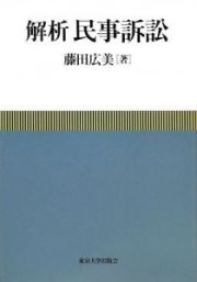 解析　民事訴訟