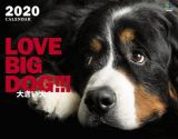 ＬＯＶＥ　ＢＩＧ　ＤＯＧ！！！カレンダー　壁掛け　２０２０