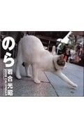 猫カレンダー　のら　２００８