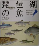 琵琶湖の魚（さかな）