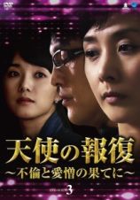 天使の報復　～不倫と愛憎の果てに～　ＤＶＤ－ＢＯＸ３