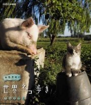 岩合光昭の世界ネコ歩き　ウルグアイ