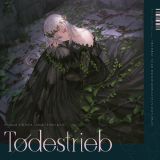 Ｔｏｄｅｓｔｒｉｅｂ