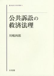 公共訴訟の救済法理