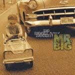 ベスト・オブ・ＭＲ．ＢＩＧ