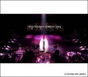 ＨＩＫＡＲＵ　ＵＴＡＤＡ　ＬＩＶＥ　ＣＨＲＯＮＩＣＬＥＳ　Ｉｎ　Ｂｕｄｏｋａｎ　２００４　ヒカルの５