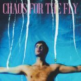 ＣＨＡＯＳ　ＦＯＲ　ＴＨＥ　ＦＬＹ（期間限定）