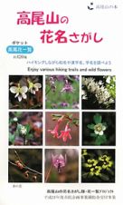 高尾山の花名さがし　ハイキングしながら和名や漢字名、学名を調べよう