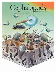 Ｃｅｐｈａｌｏｐｏｄｓ