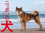 ２０２５年カレンダー　ニッポンの犬