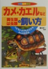 カメ・カエルなど両生類・は虫類の飼い方