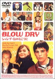 ＢＬＯＷ　ＤＲＹ　シャンプー台のむこうに