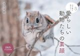 北の森に生きる愛らしい動物たちの素顔カレンダー　２０２５