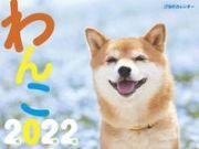 ＪＴＢのカレンダー　わんこ　２０２２