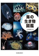 ふしぎ？なるほど！海の生き物図鑑