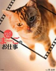 テレビねこ　まーごのお仕事