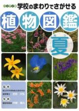 学校のまわりでさがせる植物図鑑＜ハンディ版＞　夏