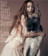 Ｓｉｔ！Ｓｔａｙ！Ｗａｉｔ！Ｄｏｗｎ！／Ｌｏｖｅ　Ｓｔｏｒｙ