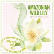 ＳＣＥＮＴＳ　ＯＦ　ＴＨＥ　ＷＯＲＬＤ～ＡＭＡＺＯＮＩＡＮ　ＷＩＬＤ　ＬＩＬＹ