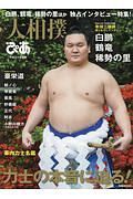 大相撲ぴあ　平成三十年