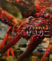 うまれたよ！ザリガニ　よみきかせいきものしゃしんえほん１０