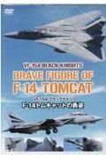 Ｆー１４トムキャットの勇姿