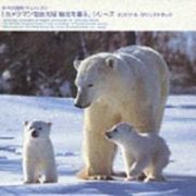 「カメラマン岩合光昭　北極を撮る」シリーズ　オリジナル・サウンドトラック