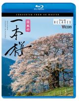 ビコム　Ｒｅｌａｘｅｓ（リラクシーズ）ＢＤ　日本の一本桜　４Ｋ撮影作品