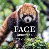 大判カレンダーＦＡＣＥ～動物園で生きる～Ｃａｌｅｎｄａｒ　２０２１