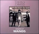 コンプリート・オブ・ＷＡＮＤＳ　ａｔ　ｔｈｅ　ＢＥＩＮＧ　ｓｔｕｄｉｏ