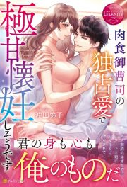 肉食御曹司の独占愛で極甘懐妊しそうです