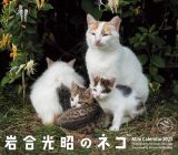 ２０２５ミニカレンダー　岩合光昭のネコ