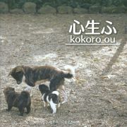 心生ふ　ｋｏｋｏｒｏ　ｏｕ