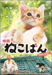 映画　ねこばん