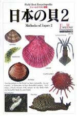 日本の貝　二枚貝・陸貝・イカ