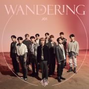 ＷＡＮＤＥＲＩＮＧ【初回限定盤Ｂ】（ＣＤ＋ＰＨＯＴＯ　ＢＯＯＫ）