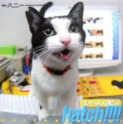 ｈａｔｃｈ！！！！　はっちゃん日記