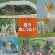 猫のきょうだい