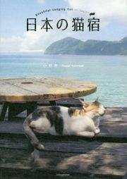 日本の猫宿