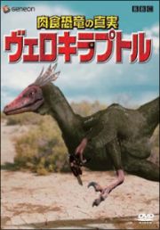 肉食恐竜の真実「ヴェロキラプトル」